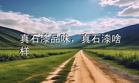 真石漆品味，真石漆啥樣
