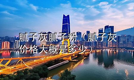 膩子灰 膩子粉（膩子灰價格大概是多少）