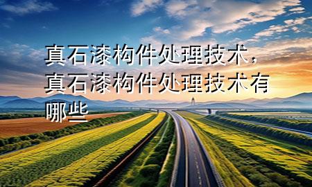 真石漆構(gòu)件處理技術(shù)，真石漆構(gòu)件處理技術(shù)有哪些