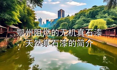 鄂州阻燃的無(wú)機(jī)真石漆，天然真石漆的簡(jiǎn)介