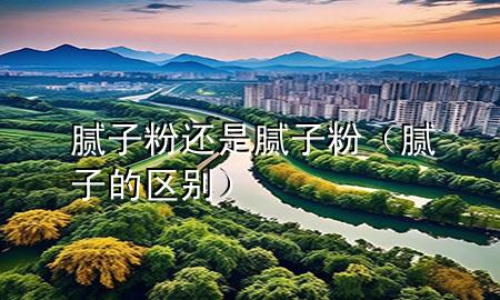 膩子粉還是膩子粉（膩子的區(qū)別）