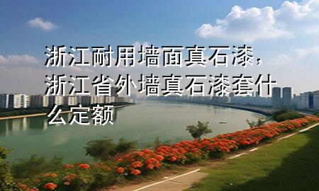 浙江耐用墻面真石漆，浙江省外墻真石漆套什么定額