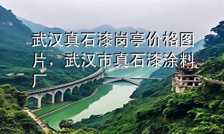 武漢真石漆崗亭價格圖片，武漢市真石漆涂料廠