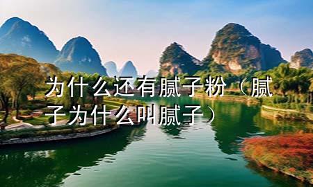 為什么還有膩子粉（膩子為什么叫膩子）