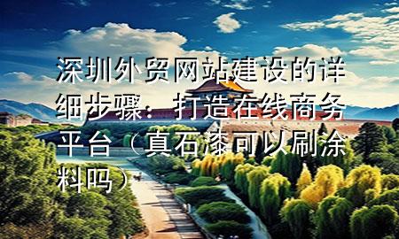 深圳外貿(mào)網(wǎng)站建設(shè)的詳細步驟：打造在線商務(wù)平臺（真石漆可以刷涂料嗎）