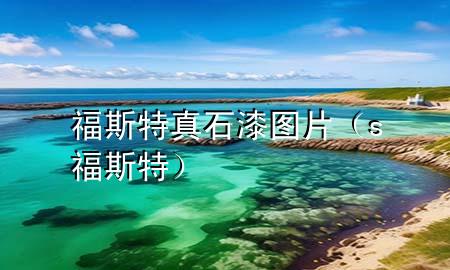 福斯特真石漆圖片（s福斯特）
