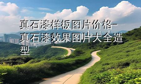 真石漆樣板圖片價格-真石漆效果圖片大全 造型