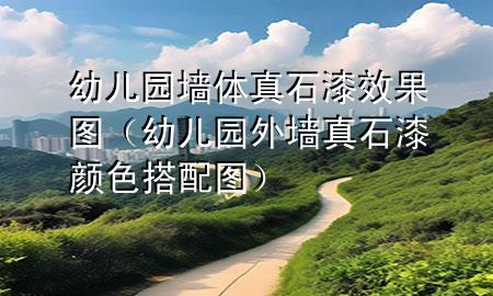 幼兒園墻體真石漆效果圖（幼兒園外墻真石漆顏色搭配圖）