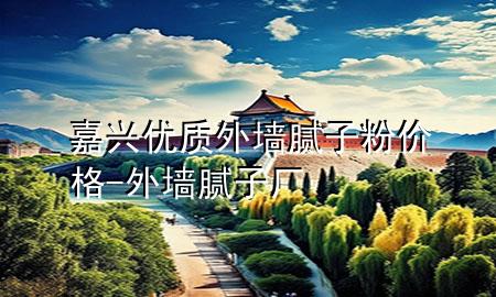 嘉興優(yōu)質外墻膩子粉價格-外墻膩子廠