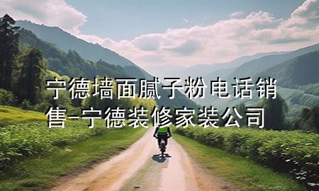 寧德墻面膩?zhàn)臃垭娫掍N售-寧德裝修家裝公司
