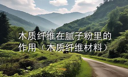 木質(zhì)纖維在膩?zhàn)臃劾锏淖饔茫举|(zhì)纖維材料）