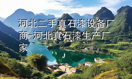 河北二手真石漆設(shè)備廠商-河北真石漆生產(chǎn)廠家