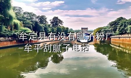 牟定縣有沒有膩子粉廠-牟平刮膩子電話