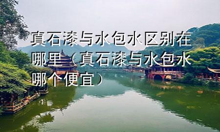 真石漆與水包水區(qū)別在哪里（真石漆與水包水哪個(gè)便宜）