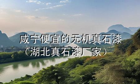 咸寧便宜的無機真石漆（湖北真石漆廠家）