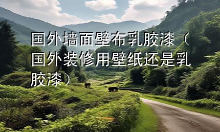 國外墻面壁布乳膠漆（國外裝修用壁紙還是乳膠漆）