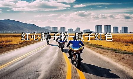 紅心膩子粉-膩子紅色