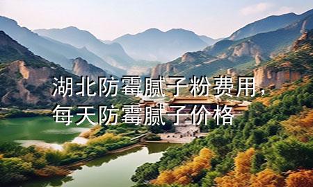 湖北防霉膩子粉費用，每天防霉膩子價格