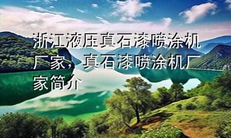 浙江液壓真石漆噴涂機(jī)廠家，真石漆噴涂機(jī)廠家簡(jiǎn)介
