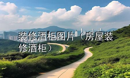 裝修酒柜圖片（房屋裝修酒柜）