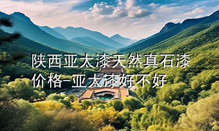 陜西亞太漆天然真石漆價格-亞太漆好不好