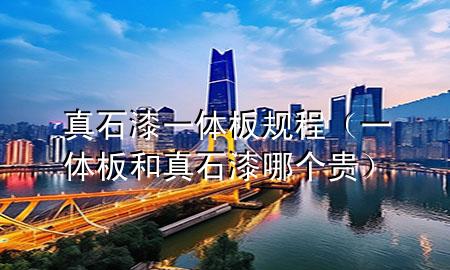 真石漆一體板規(guī)程（一體板和真石漆哪個(gè)貴）