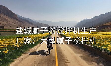 鹽城膩?zhàn)臃蹟嚢铏C(jī)生產(chǎn)廠家，大型膩?zhàn)訑嚢铏C(jī)