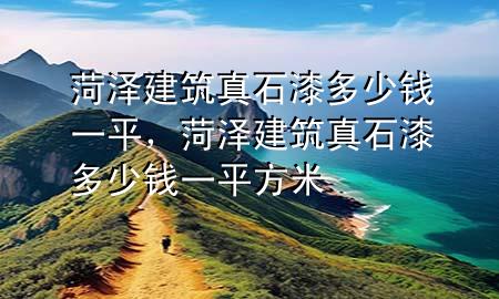 菏澤建筑真石漆多少錢一平，菏澤建筑真石漆多少錢一平方米