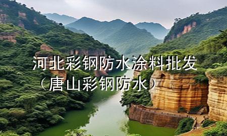 河北彩鋼防水涂料批發(fā)（唐山彩鋼防水）