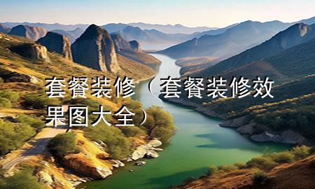 套餐裝修（套餐裝修效果圖大全）