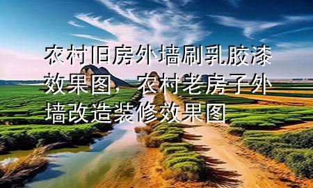 農(nóng)村舊房外墻刷乳膠漆效果圖，農(nóng)村老房子外墻改造裝修效果圖
