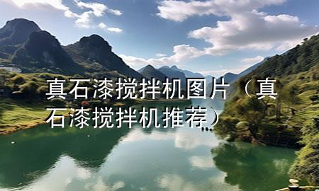 真石漆攪拌機圖片（真石漆攪拌機推薦）