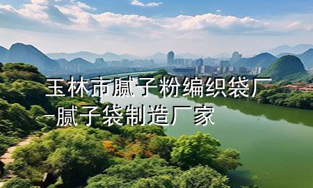 玉林市膩子粉編織袋廠-膩子袋制造廠家