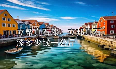立幫真石漆，立邦真石漆多少錢一公斤