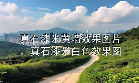 真石漆米黃墻效果圖片，真石漆米白色效果圖