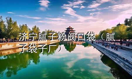 濟(jì)寧膩?zhàn)臃坶y口袋（膩?zhàn)哟訌S）