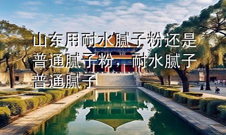 山東用耐水膩?zhàn)臃圻€是普通膩?zhàn)臃?，耐水膩?zhàn)?普通膩?zhàn)?>
             </div>
             <!--文章無圖的情況下插入一張圖片end-->
              
      <p>大家好，今天小編關(guān)注到一個比較有意思的話題，就是關(guān)于山東用耐水膩?zhàn)臃圻€是普通膩?zhàn)臃鄣膯栴}，于是小編就整理了1個相關(guān)介紹山東用耐水膩?zhàn)臃圻€是普通膩?zhàn)臃鄣慕獯?，讓我們一起看看吧?/p><ol type=