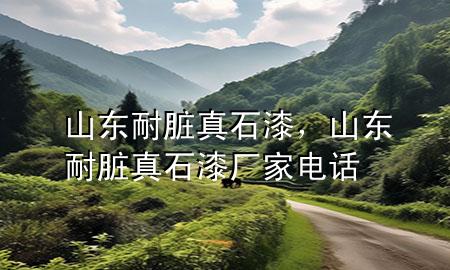 山東耐臟真石漆，山東耐臟真石漆廠家電話