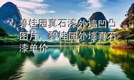 碧桂園真石漆外墻凹凸圖片，碧桂園外墻真石漆單價