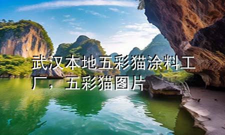 武漢本地五彩貓涂料工廠，五彩貓圖片