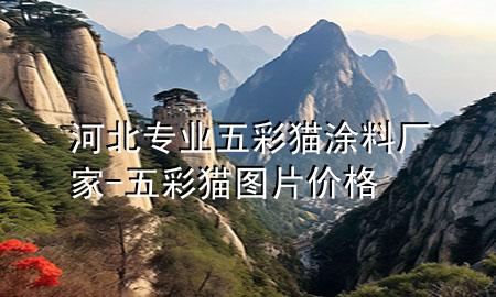 河北專業(yè)五彩貓涂料廠家-五彩貓圖片價(jià)格