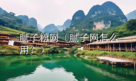 膩?zhàn)臃?網(wǎng)（膩?zhàn)泳W(wǎng)怎么用？）