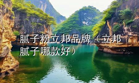 膩子粉立邦品牌（立邦膩子哪款好）